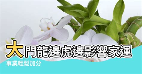 龍邊虎邊怎麼分|【風水看大龍】大門龍邊虎邊影響家運 